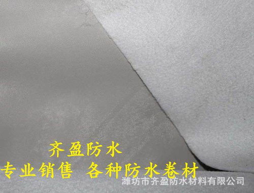 欢迎访问阎良区齐盈防水——自粘聚合物改性沥青防水卷材专业供应商